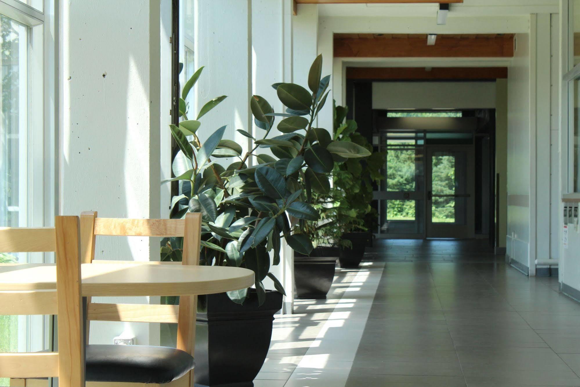 Residences Universite Laval Quebec City Ngoại thất bức ảnh